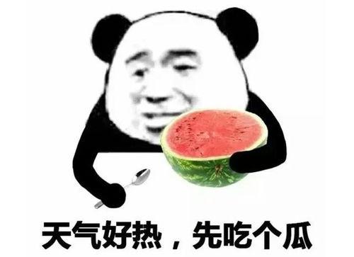吃瓜表情怎么回